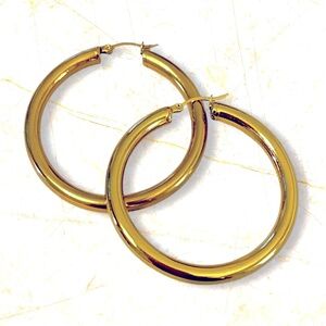 Elegant Gold Hoop Earrings